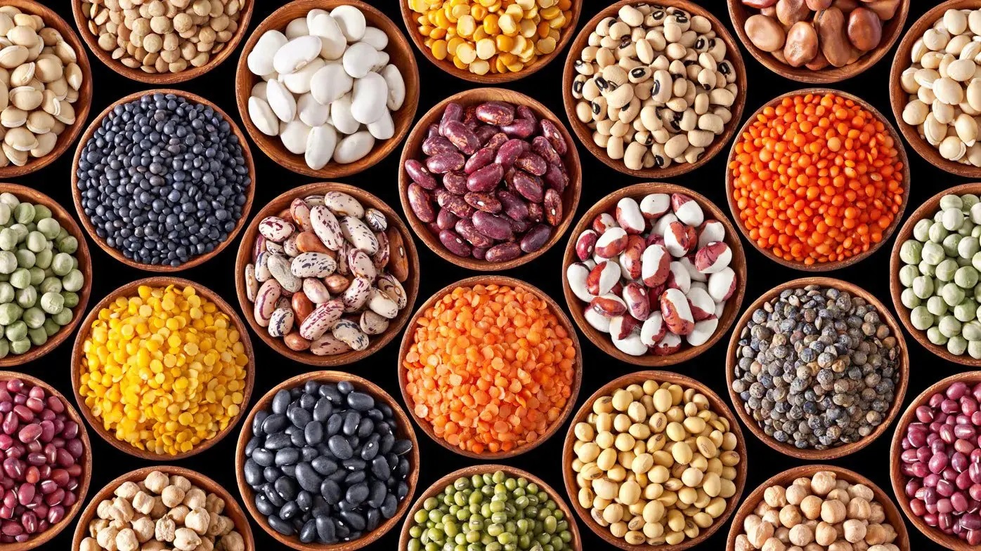 Global trade of Pulses in the world, Middle East, Canada, Oman, UAE and Turkey (import and export)